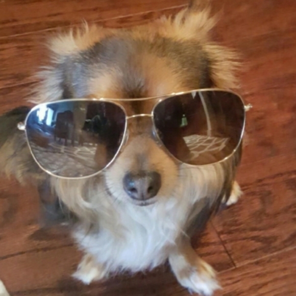 Meet your Posher, Nicole - Picture 2 of 3